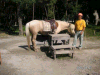 s_pict0028_thumb.png